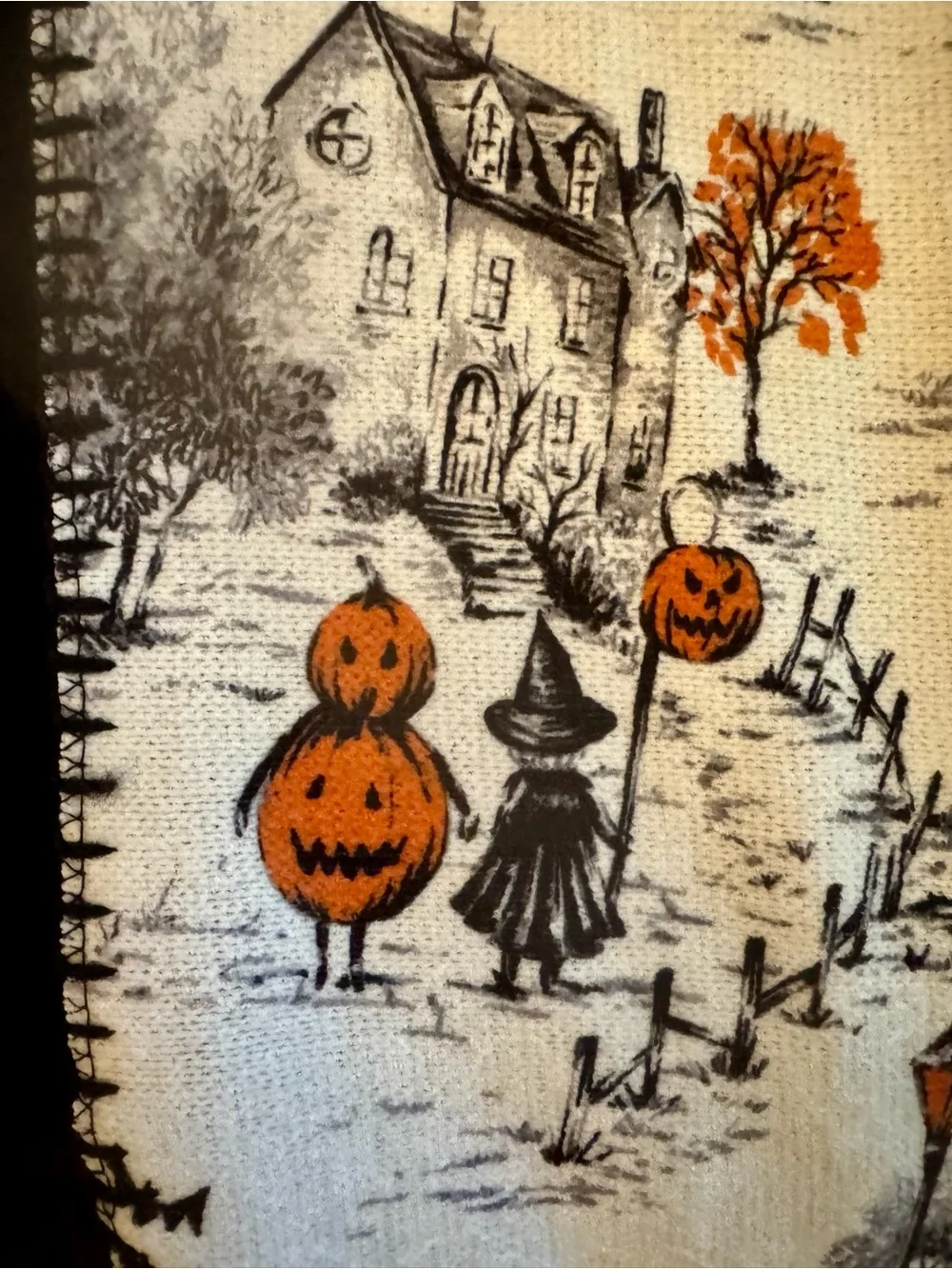 Nicole Miller Halloween Village Reversible Decorative Throw - Gorgeous Blanket!